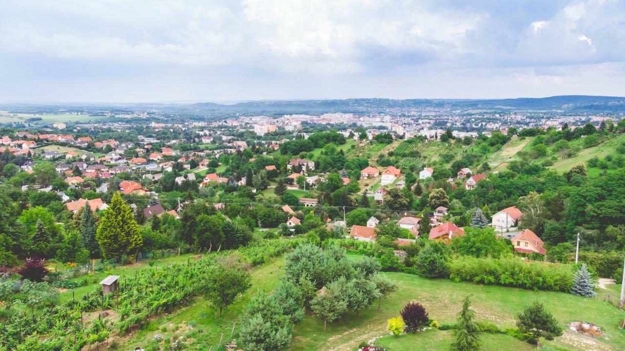 Villa Garden Zalaegerszeg Exterior foto